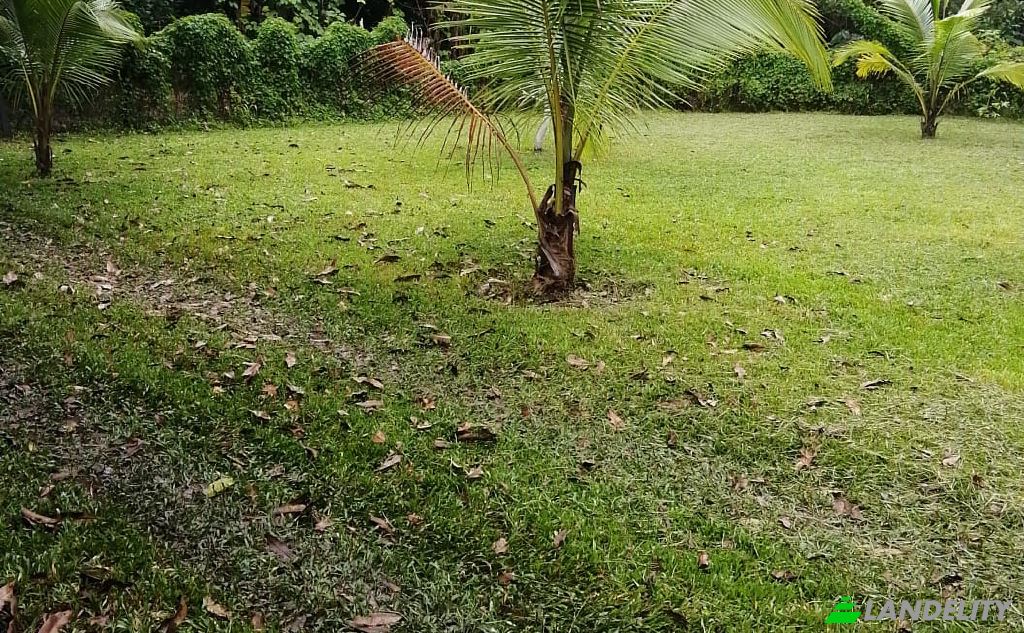 Land/Lot for Sale Provincia de Alajuela, Orotina, Alajuela Province, Costa Rica. Photo 3