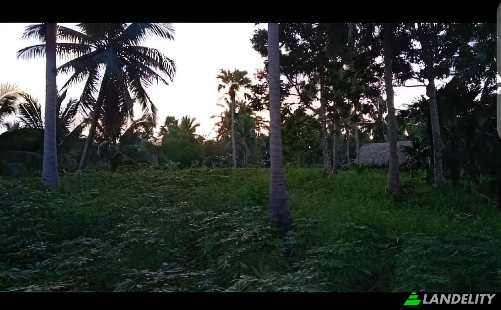 Земля/Ділянка продаж Blk Lot Imperial Ridgeview Subdivision, Sorsogon City, Sorsogon, Bicol, Philippines. Фото 2