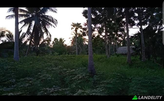 Земля/Ділянка продаж Blk Lot Imperial Ridgeview. Фото#2 Земля/Ділянка продаж Blk Lot Imperial Ridgeview. Фото#2