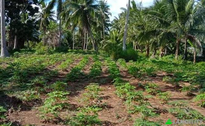 Земля/Ділянка продаж Blk Lot Imperial Ridgeview. Фото#3 Земля/Ділянка продаж Blk Lot Imperial Ridgeview. Фото#3