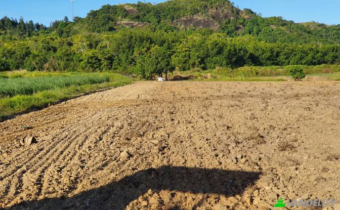Земля/Ділянка продаж Mataniwai Road, Naleba. Фото#12