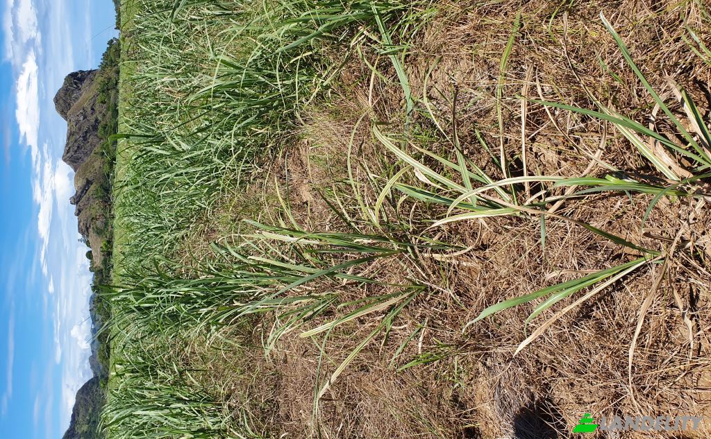 Земля/Ділянка продаж Mataniwai Road, Naleba, Labasa, Northern Division, Fiji. Фото 15