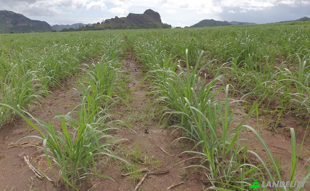 Земля/Ділянка продаж Mataniwai Road, Naleba, Labasa, Northern Division, Fiji. Фото 2