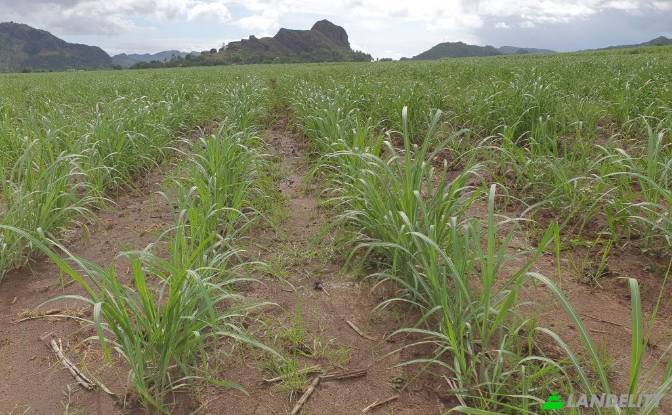Земля/Ділянка продаж Mataniwai Road, Naleba. Фото#2