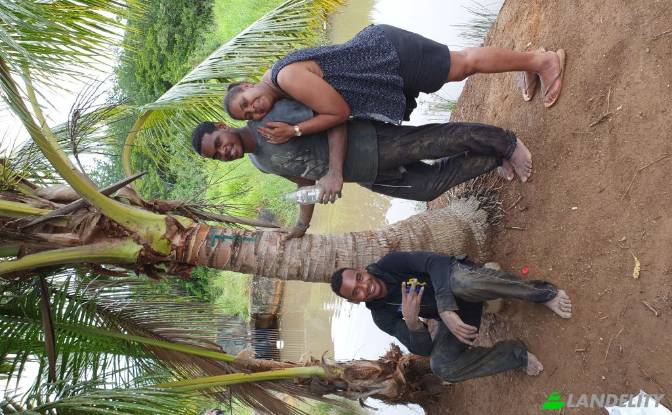 Земля/Ділянка продаж Mataniwai Road, Naleba. Фото#4