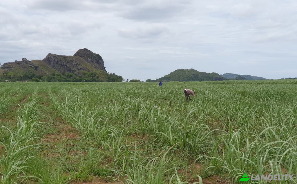 Земля/Ділянка продаж Mataniwai Road, Naleba, Labasa, Northern Division, Fiji. Фото 5
