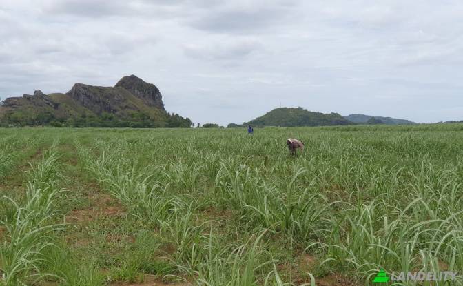 Земля/Ділянка продаж Mataniwai Road, Naleba. Фото#5