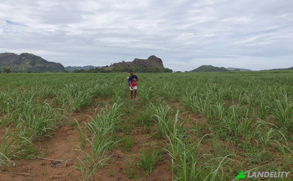Земля/Ділянка продаж Mataniwai Road, Naleba, Labasa, Northern Division, Fiji. Фото 7