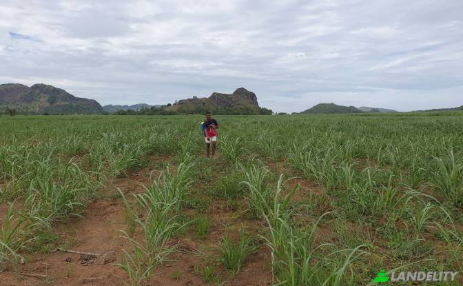 Земля/Ділянка продаж Mataniwai Road, Naleba. Фото#7