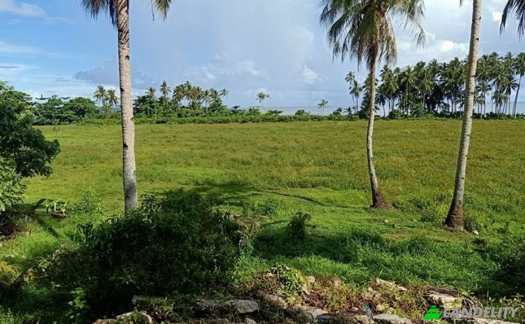 Земля/Ділянка продаж Siargao Circumferential Rd, Del Carmen, San Benito, Surigao del Norte, Caraga, Philippines. Фото 1