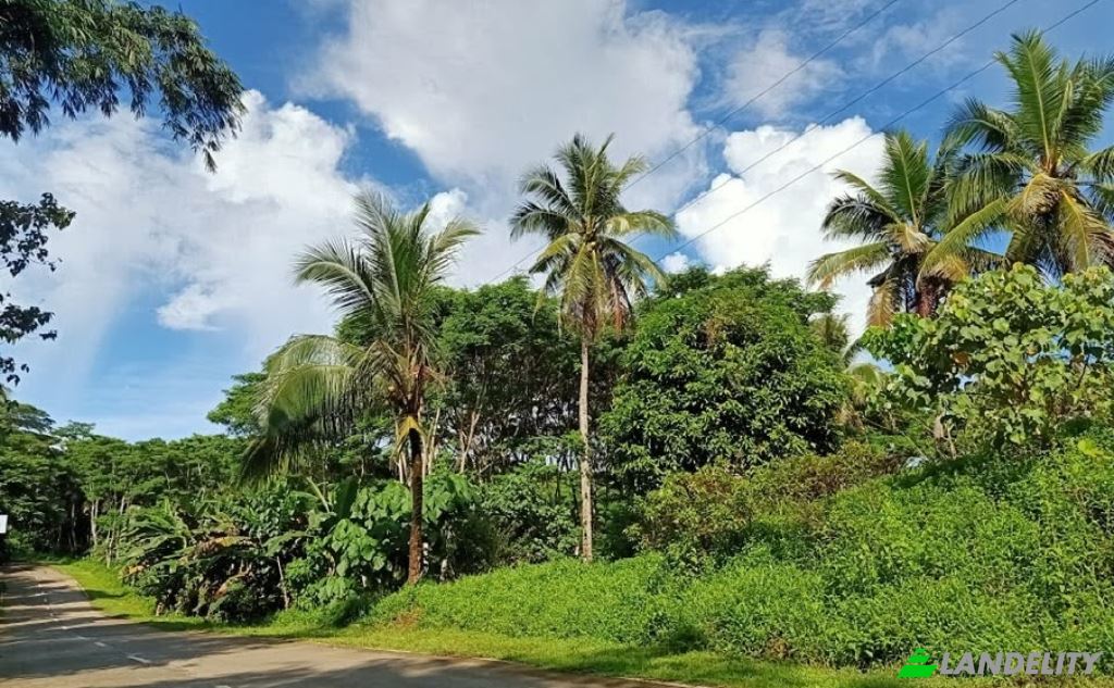 Земля/Ділянка продаж Siargao Circumferential Rd, Del Carmen, San Benito, Surigao del Norte, Caraga, Philippines. Фото 2