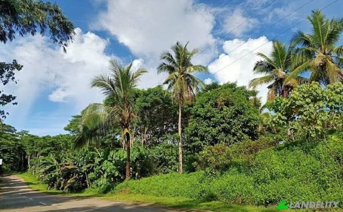 Земля/Ділянка продаж Siargao Circumferential Rd. Фото#2