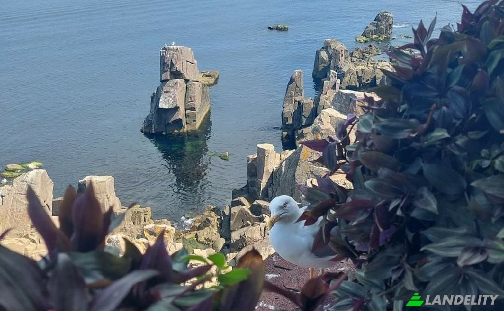 Земля/Ділянка продаж Tsentar, Sozopol, Burgas, Bulgaria. Фото 5