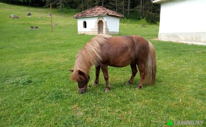 Single Family Home for Sale Dalgopol, Varna. Photo#2 Single Family Home for Sale Dalgopol, Varna. Photo#2