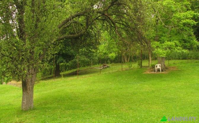 Single Family Home for Sale Dalgopol, Varna. Photo#13 Single Family Home for Sale Dalgopol, Varna. Photo#13