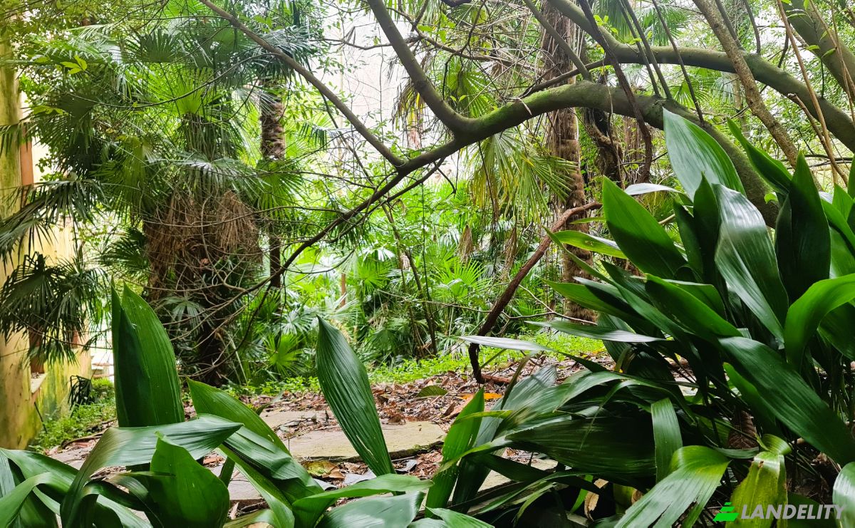 Investing/Development for Sale Via Isolona Pianezza, 16040 Isolona GE, Isolona, Metropolitan City of Genoa, Liguria, Italy. Photo 5