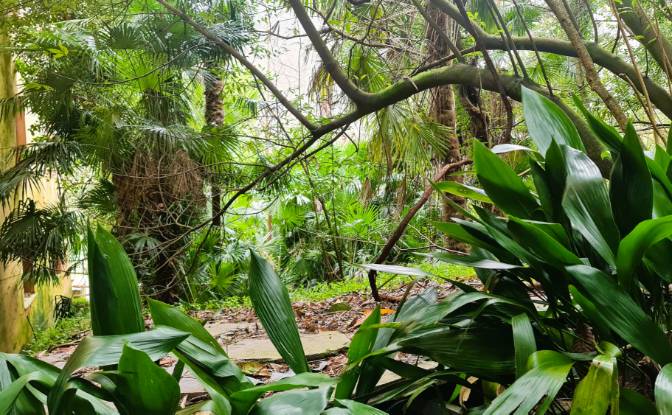 Investing/Development for Sale Via Isolona. Photo#5 Investing/Development for Sale Via Isolona. Photo#5