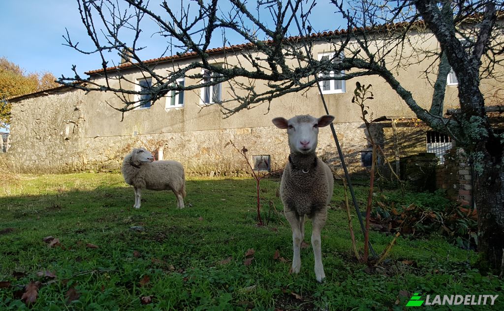 Односімейний будинок продаж Camino da Sueira, Rosal, Pontevedra, Galicia, Spain. Фото 4