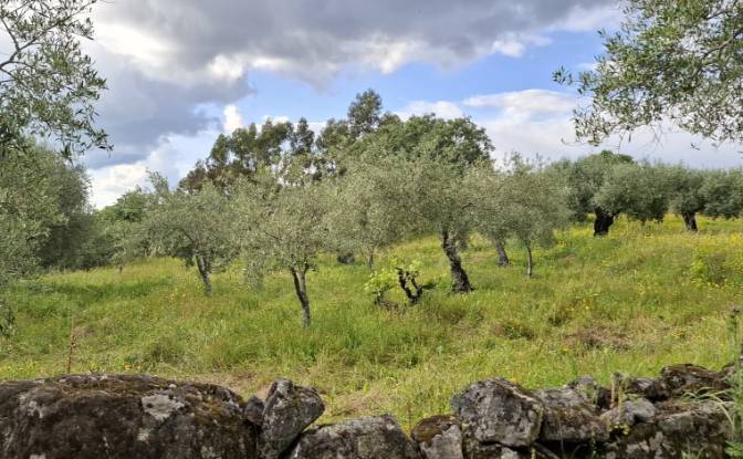 Lote de terreno en venta 6090 Salvador, Salvador. Foto#9