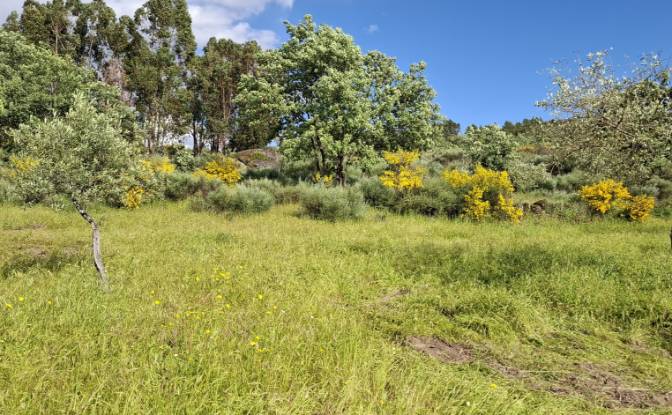 Lote de terreno en venta 6090 Salvador, Salvador. Foto#10