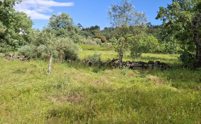 Lote de terreno en venta 6090 Salvador, Salvador. Foto#11