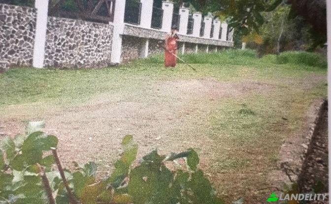 Land/Lot for Sale Puntarenas Province, Costa Rica. Photo#4