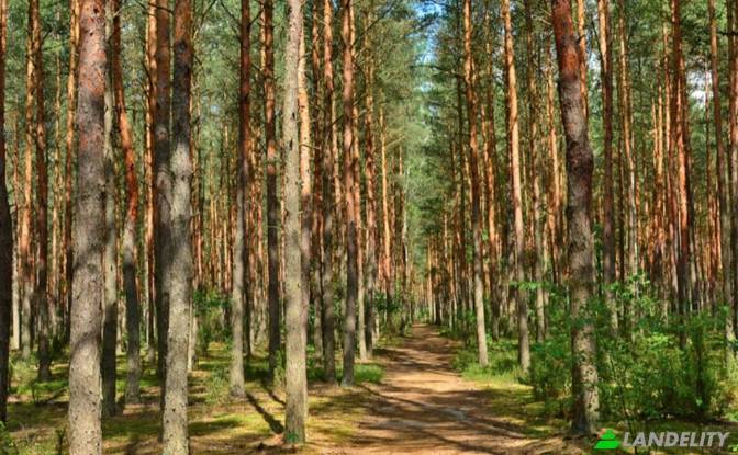 Квартира продаж Niecodzienna, Warszawa, Warsaw. Фото#11 Квартира продаж Niecodzienna, Warszawa, Warsaw. Фото#11