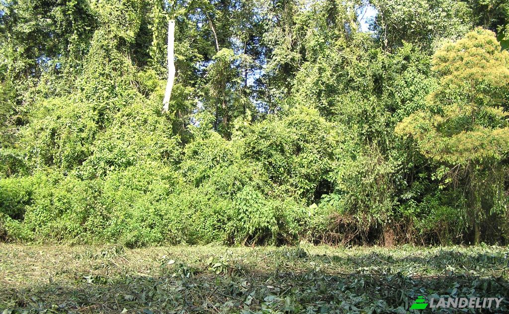 Земля/Ділянка продаж Las Vinas, Livingston, Izabal Department, Guatemala. Фото 3