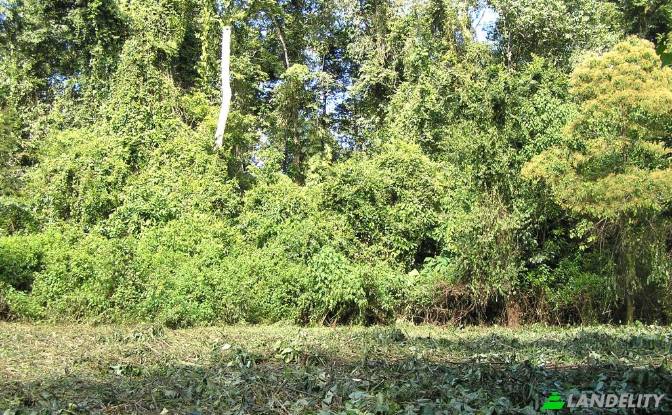 Земля/Ділянка продаж Las Vinas, Livingston. Фото#3