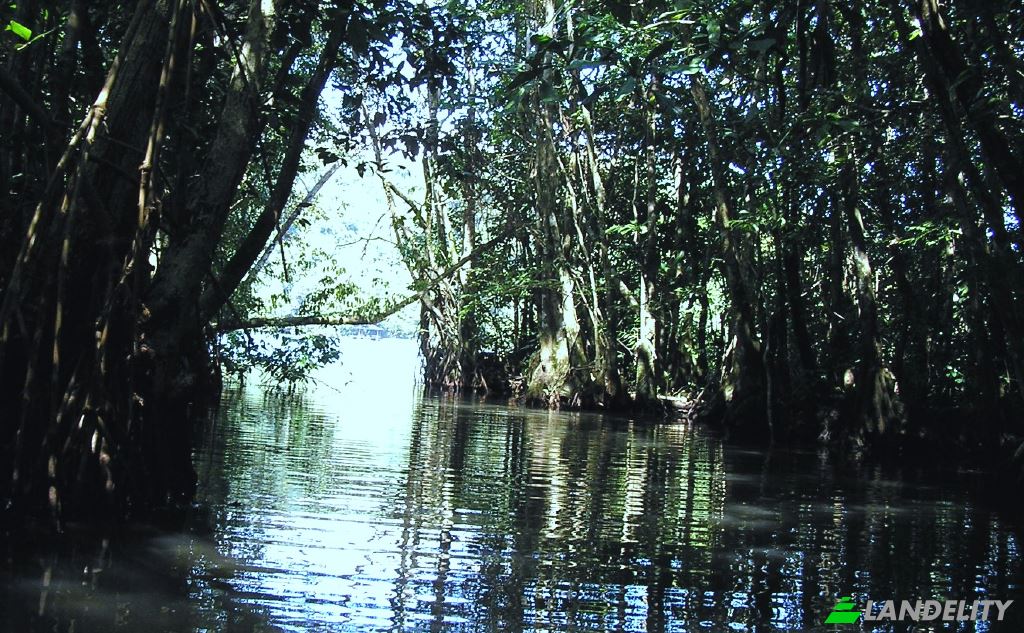 Земля/Ділянка продаж Las Vinas, Livingston, Izabal Department, Guatemala. Фото 4