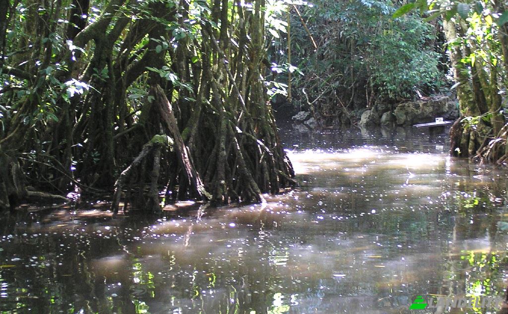 Земля/Ділянка продаж Las Vinas, Livingston, Izabal Department, Guatemala. Фото 5
