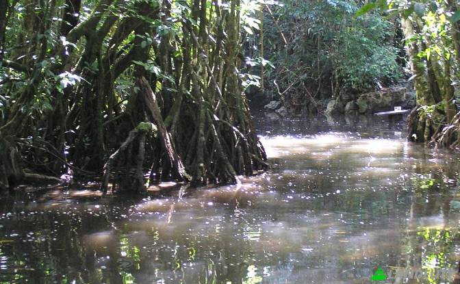 Земля/Ділянка продаж Las Vinas, Livingston. Фото#5