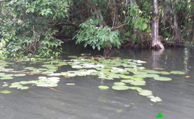 Земля/Ділянка продаж Las Vinas, Livingston. Фото#7