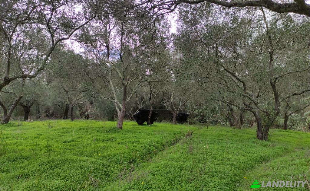 Land/Lot for Sale dos xoris onomasia, Kavos, Ionian Islands, Decentralized Administration of Peloponnese, Western Greece and the Ionian, Greece. Photo 5