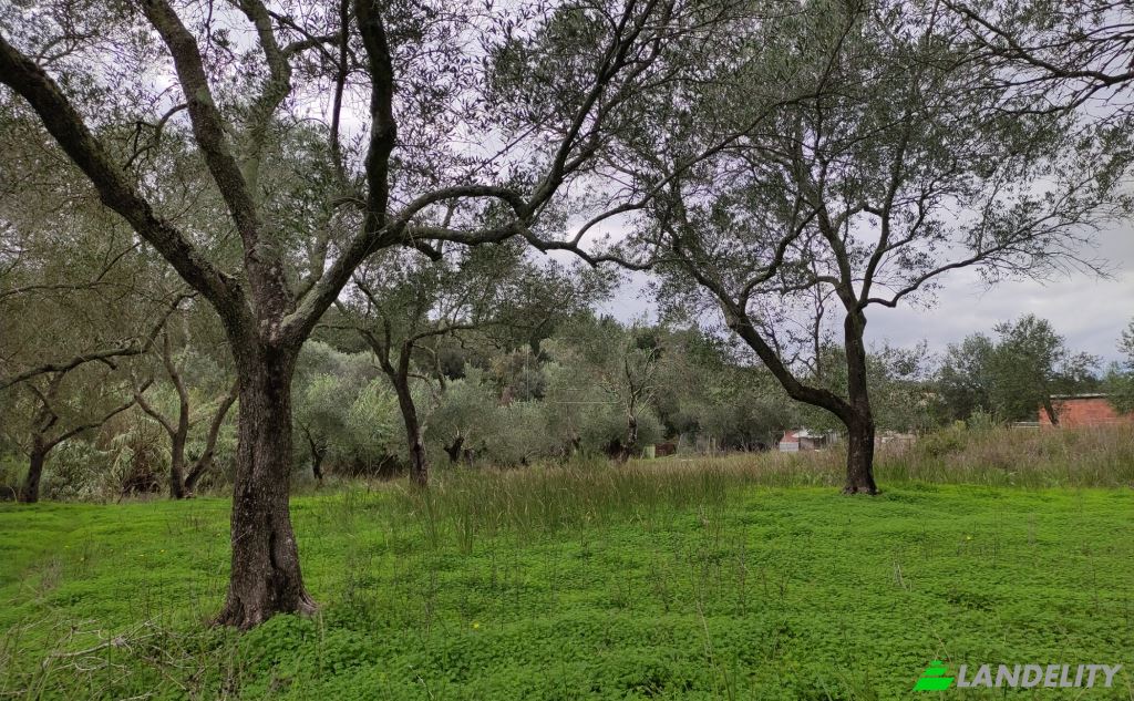 Land/Lot for Sale dos xoris onomasia, Kavos, Ionian Islands, Decentralized Administration of Peloponnese, Western Greece and the Ionian, Greece. Photo 2