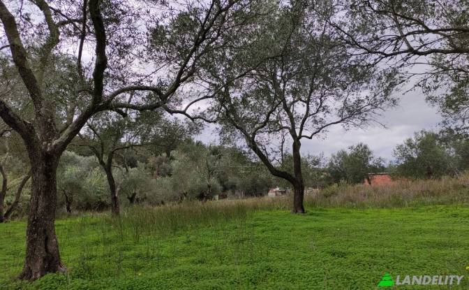 Land/Lot for Sale dos xoris onomasia, Kavos. Photo#3