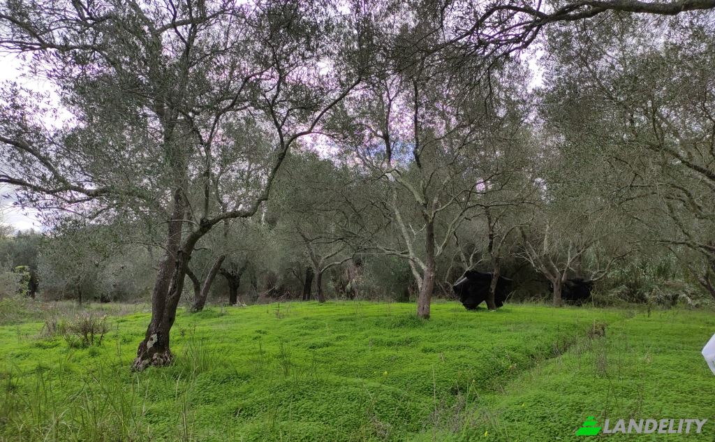 Land/Lot for Sale dos xoris onomasia, Kavos, Ionian Islands, Decentralized Administration of Peloponnese, Western Greece and the Ionian, Greece. Photo 1