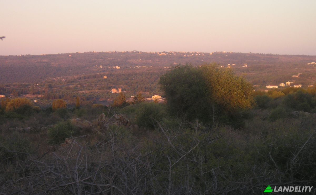Land Lot for Sale Unnamed road, Vamos 730 08, Vamos, Crete, Decentralized Administration of Crete, Greece. Photo 11