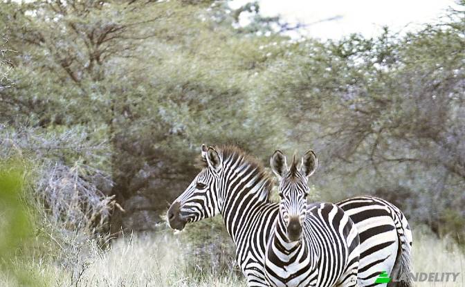 Земля/Ділянка продаж Waterberg Estate. Фото#8