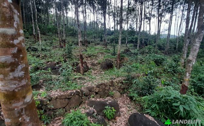 Land/Lot for Sale - Waga, Sri Lanka