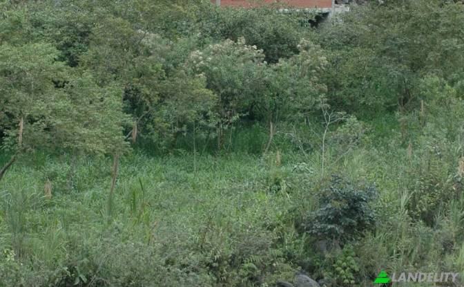 Односімейний будинок продаж Via Las Estancias. Фото#16