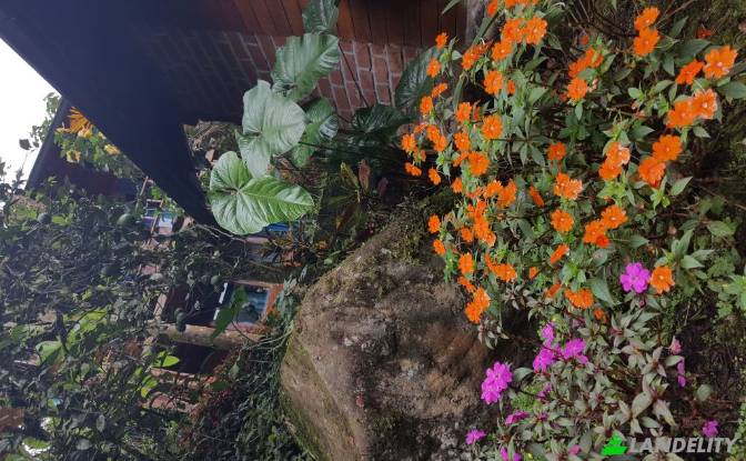 Односімейний будинок продаж Via Las Estancias. Фото#23