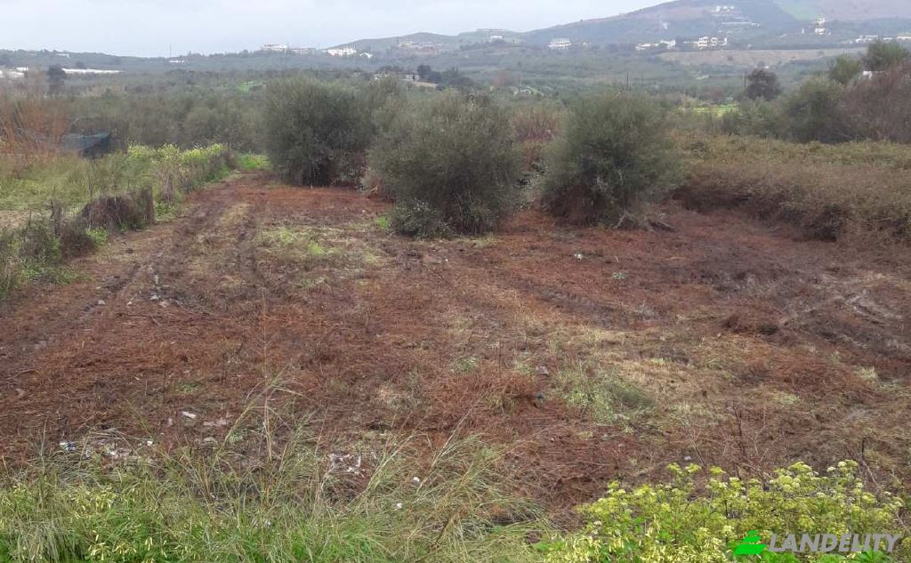 Land/Lot for Sale dos xoris onomasia, Milopotamos, Geropotamos, Crete, Decentralized Administration of Crete, Greece. Photo 3