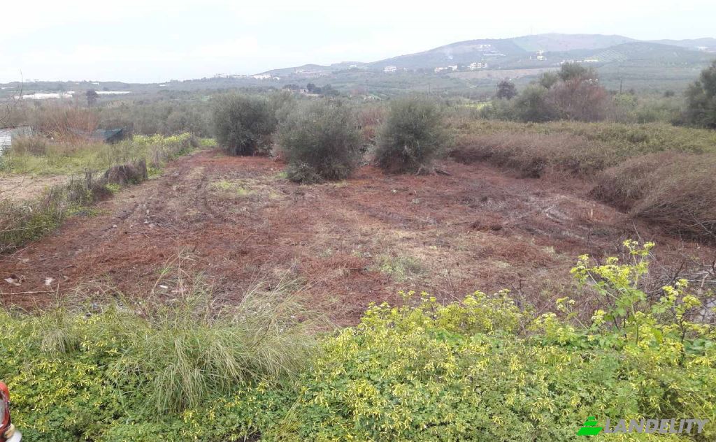 Land/Lot for Sale dos xoris onomasia, Milopotamos, Geropotamos, Crete, Decentralized Administration of Crete, Greece. Photo 4