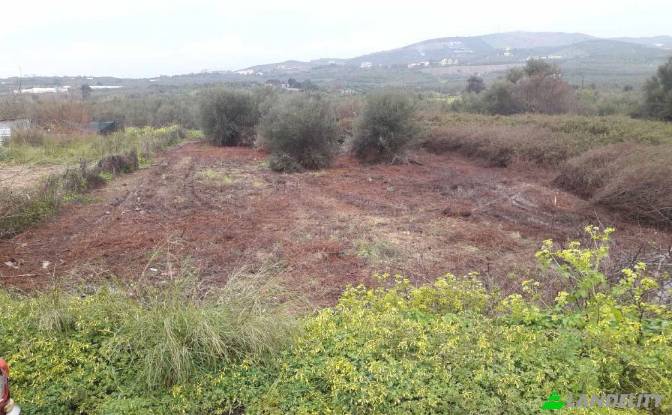Land/Lot for Sale dos xoris onomasia, Milopotamos. Photo#4