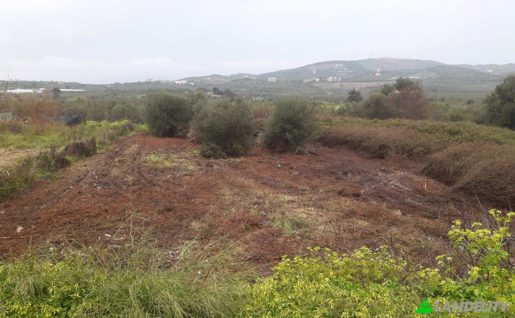 Land/Lot for Sale dos xoris onomasia, Milopotamos, Geropotamos, Crete, Decentralized Administration of Crete, Greece. Photo 5