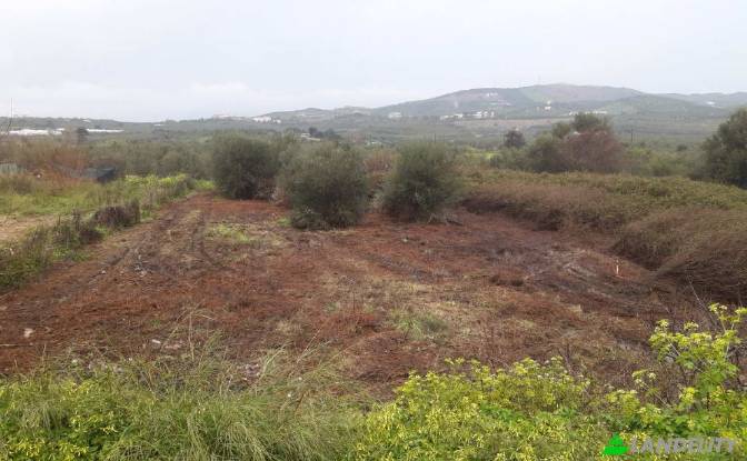 Land/Lot for Sale dos xoris onomasia, Milopotamos. Photo#5