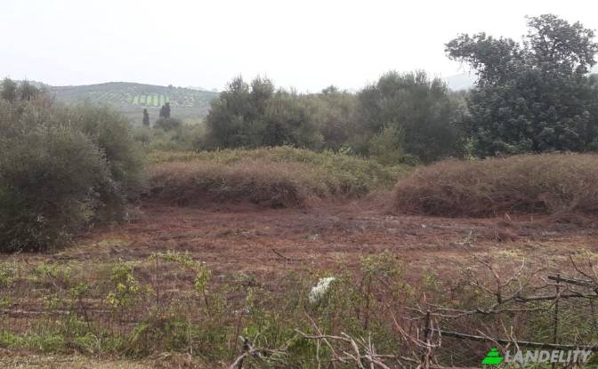 Land/Lot for Sale dos xoris onomasia, Milopotamos. Photo#6