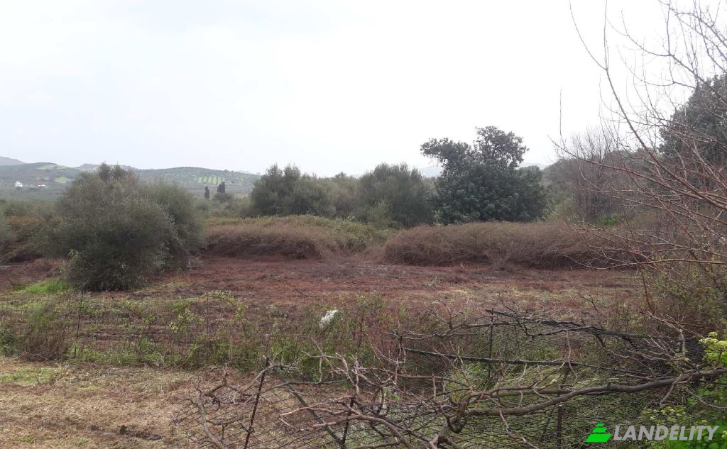 Land/Lot for Sale dos xoris onomasia, Milopotamos, Geropotamos, Crete, Decentralized Administration of Crete, Greece. Photo 8