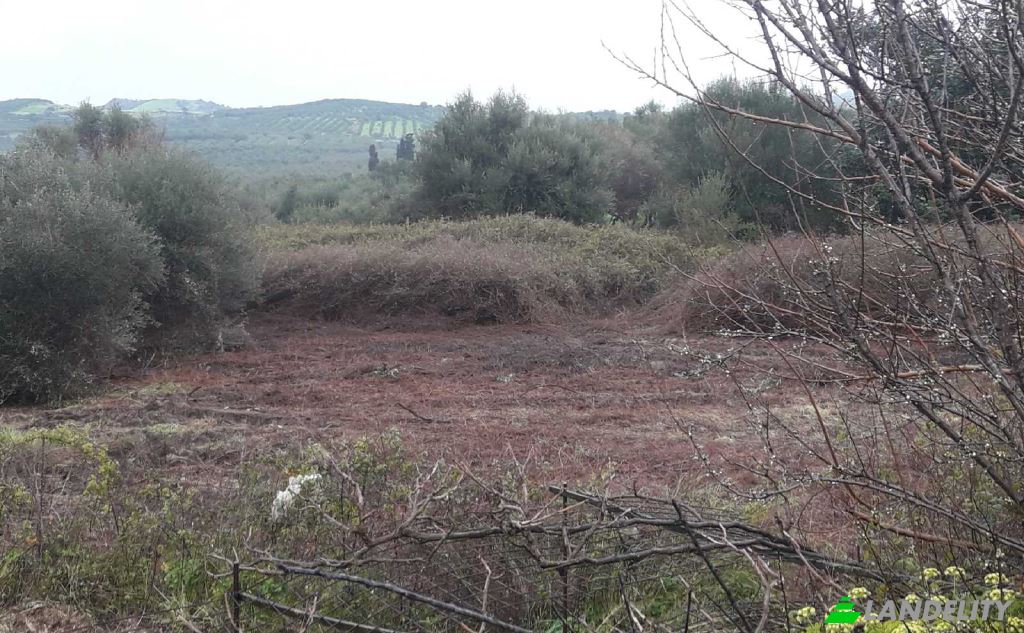 Land/Lot for Sale dos xoris onomasia, Milopotamos, Geropotamos, Crete, Decentralized Administration of Crete, Greece. Photo 9